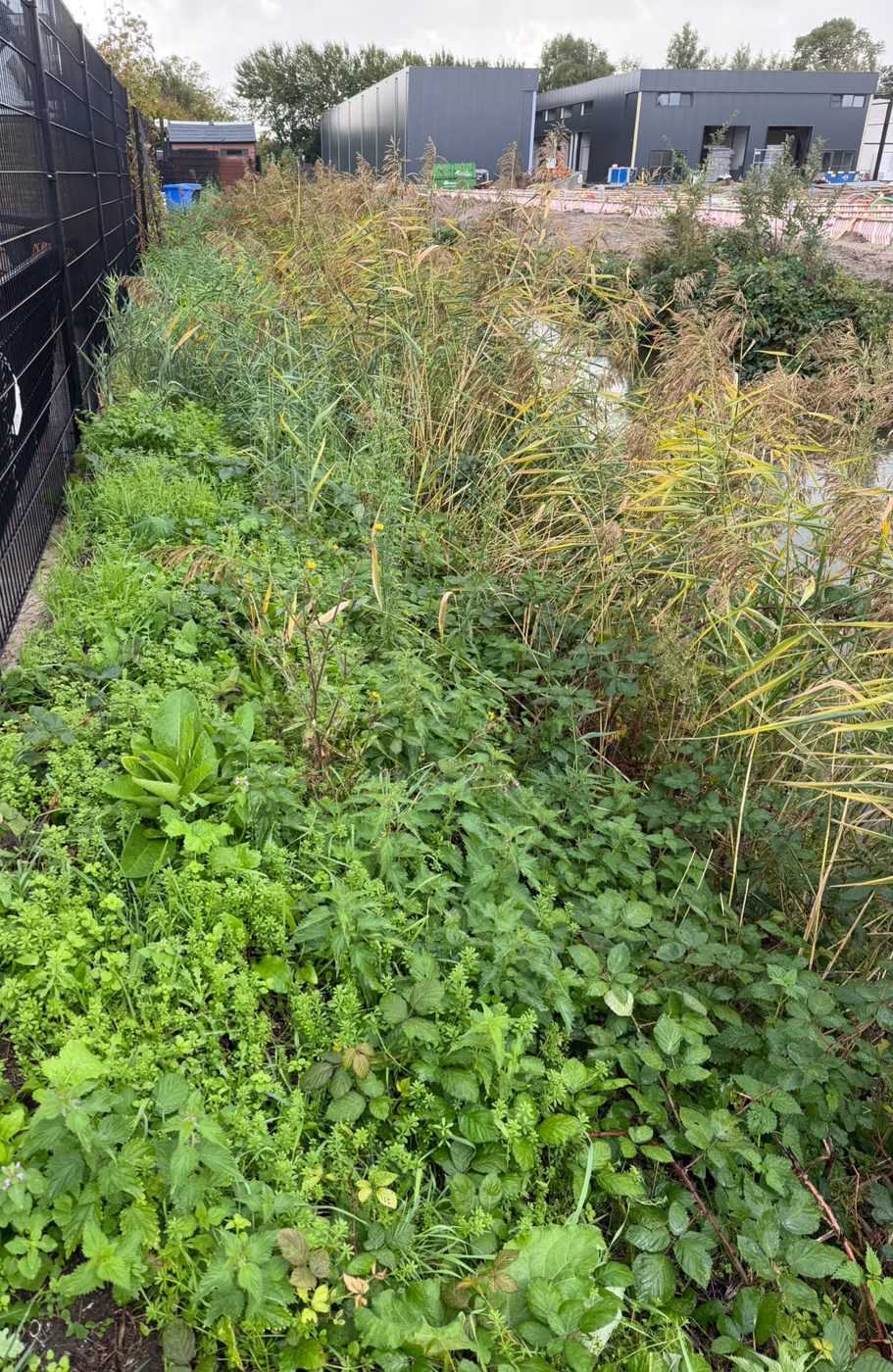 Illustratie bij Tuinontruiming